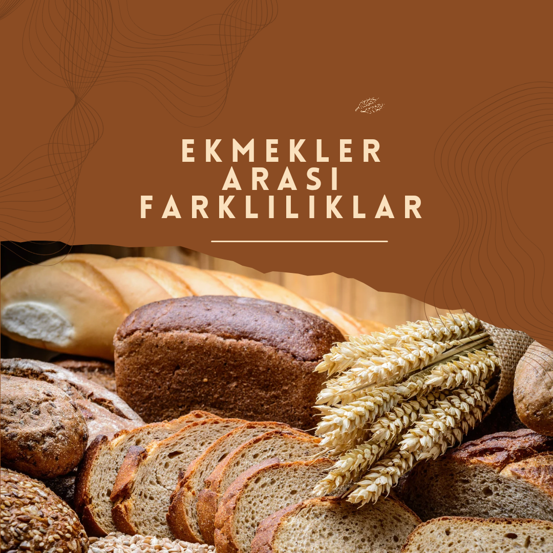 Ekmekler Arası Farklılıklar