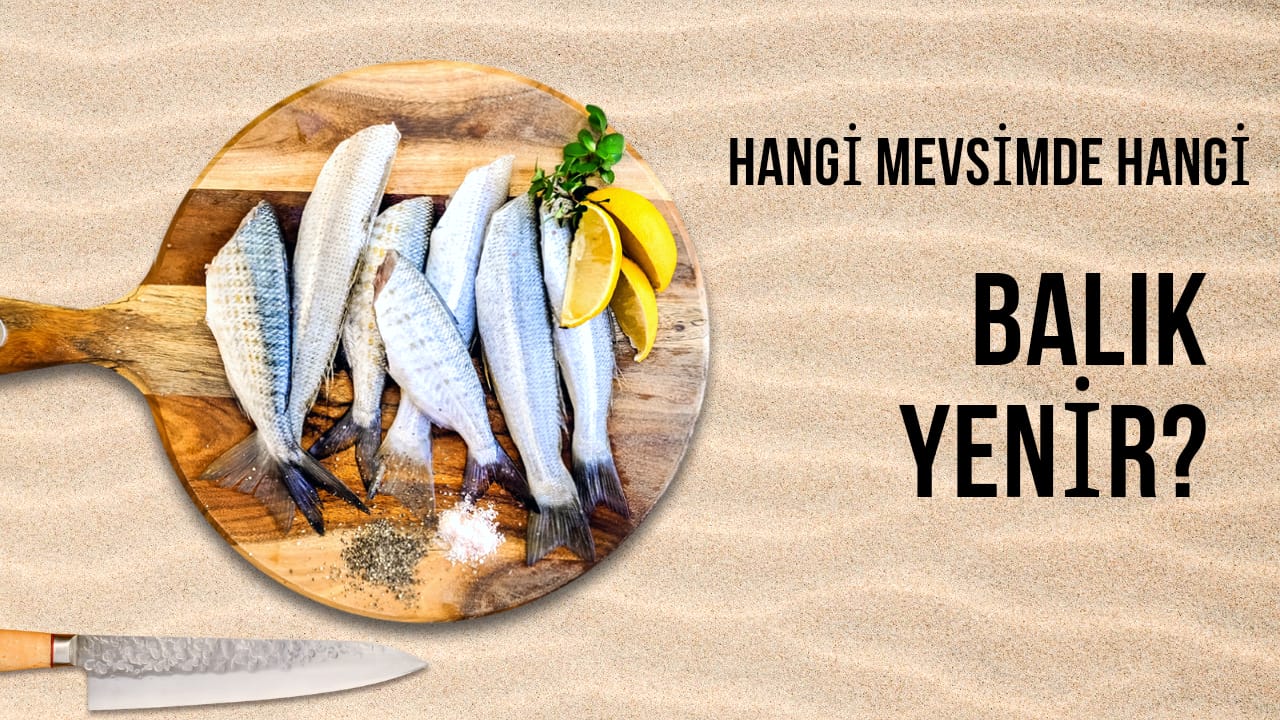 Hangi Mevsimde Hangi Balık Yenir?